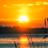 see, schilf, sonnenuntergang